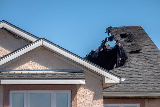 Top rated local Fire Damage Removal specialists in New Richmond, OH